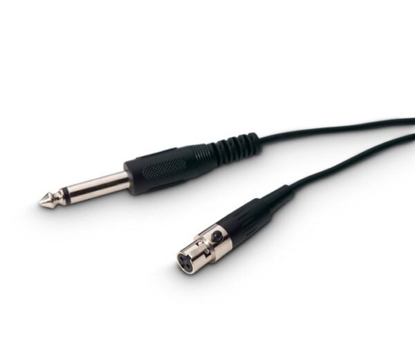 LD Systems WS 100 GC