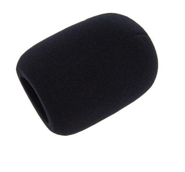 Electro Voice WSPL-2